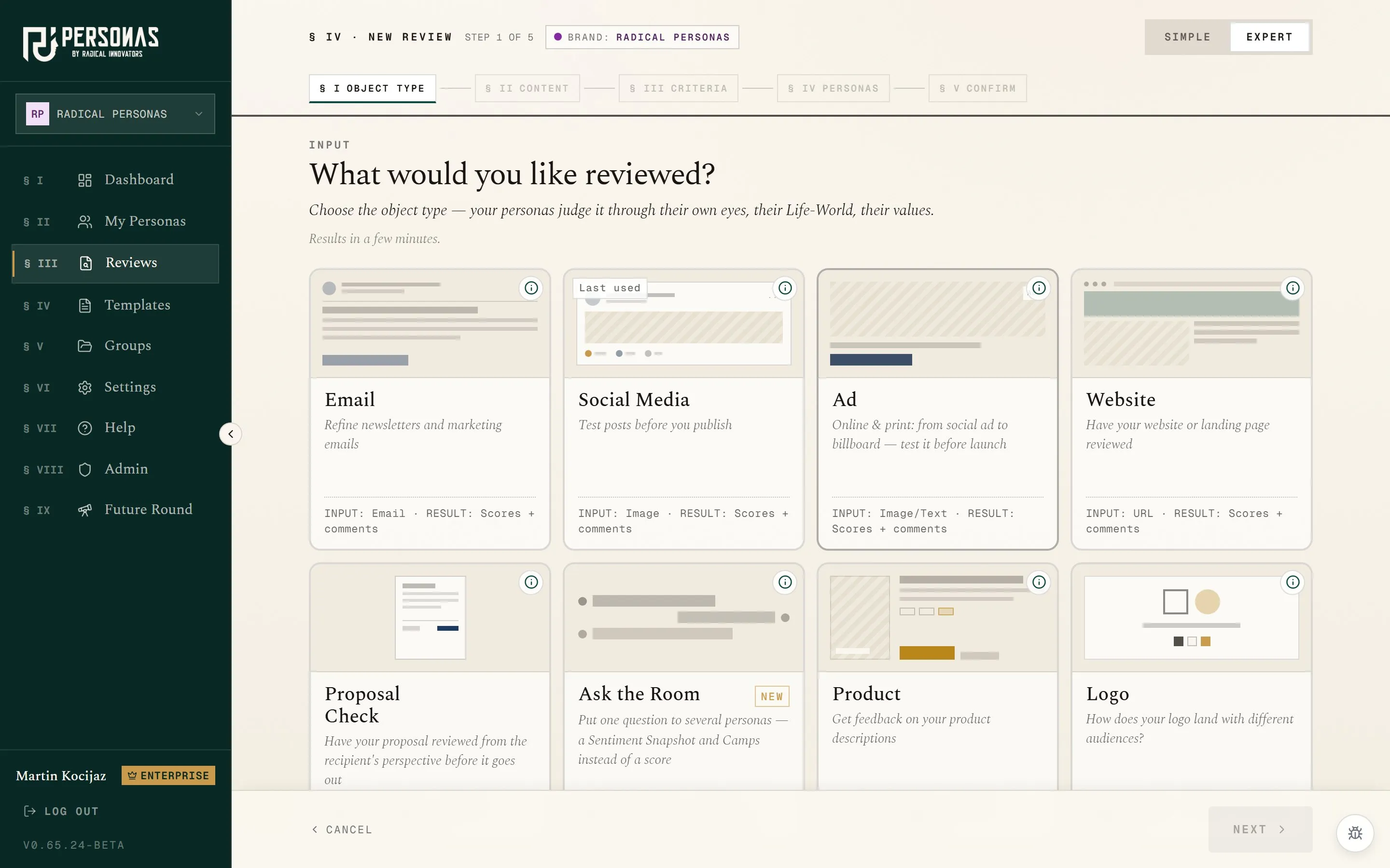 App screenshot: choosing the object type in the Review wizard