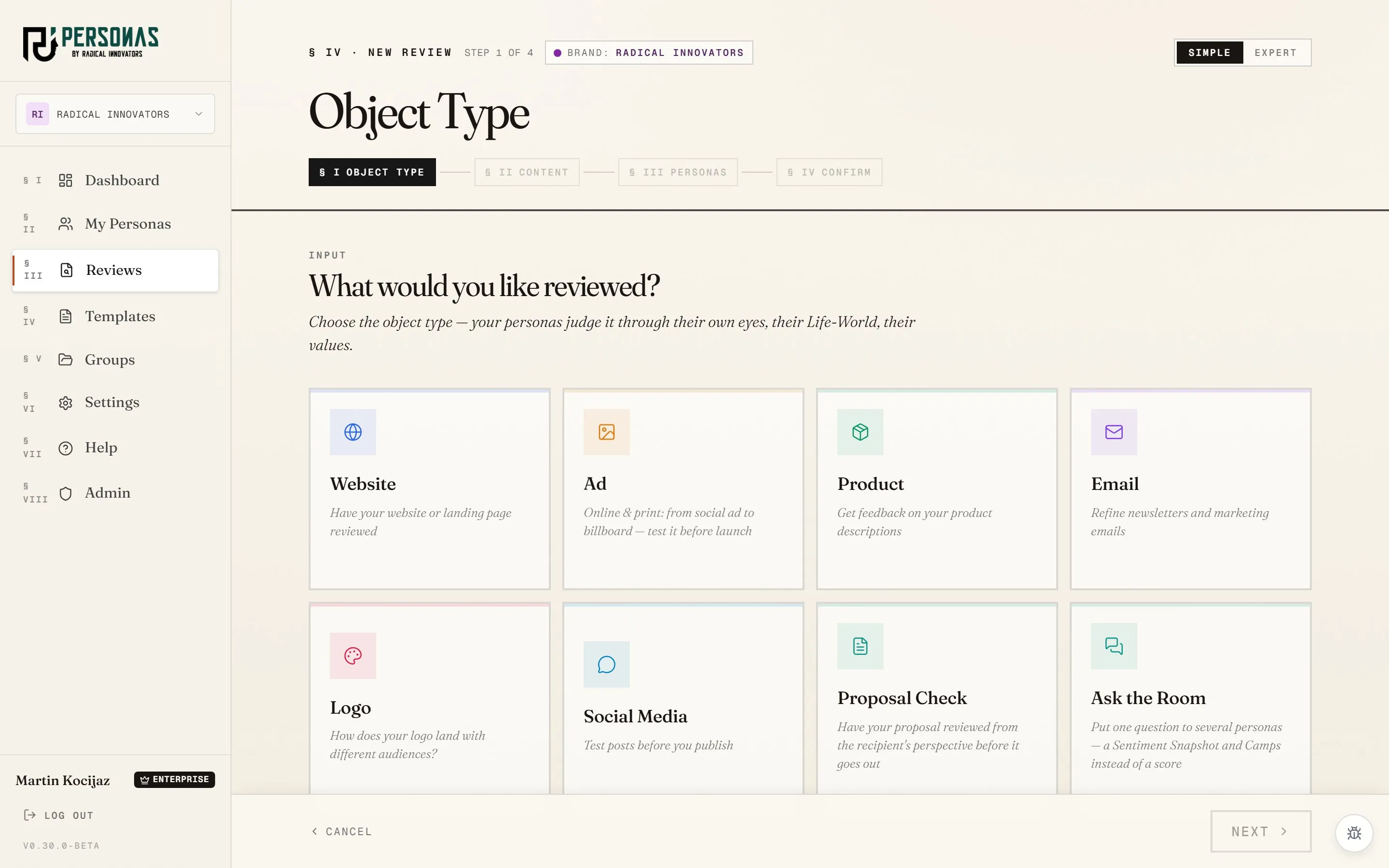 App screenshot: choosing the object type in the Review wizard